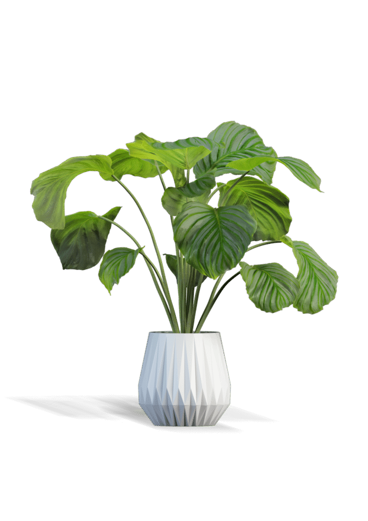 20250921_102248_0000