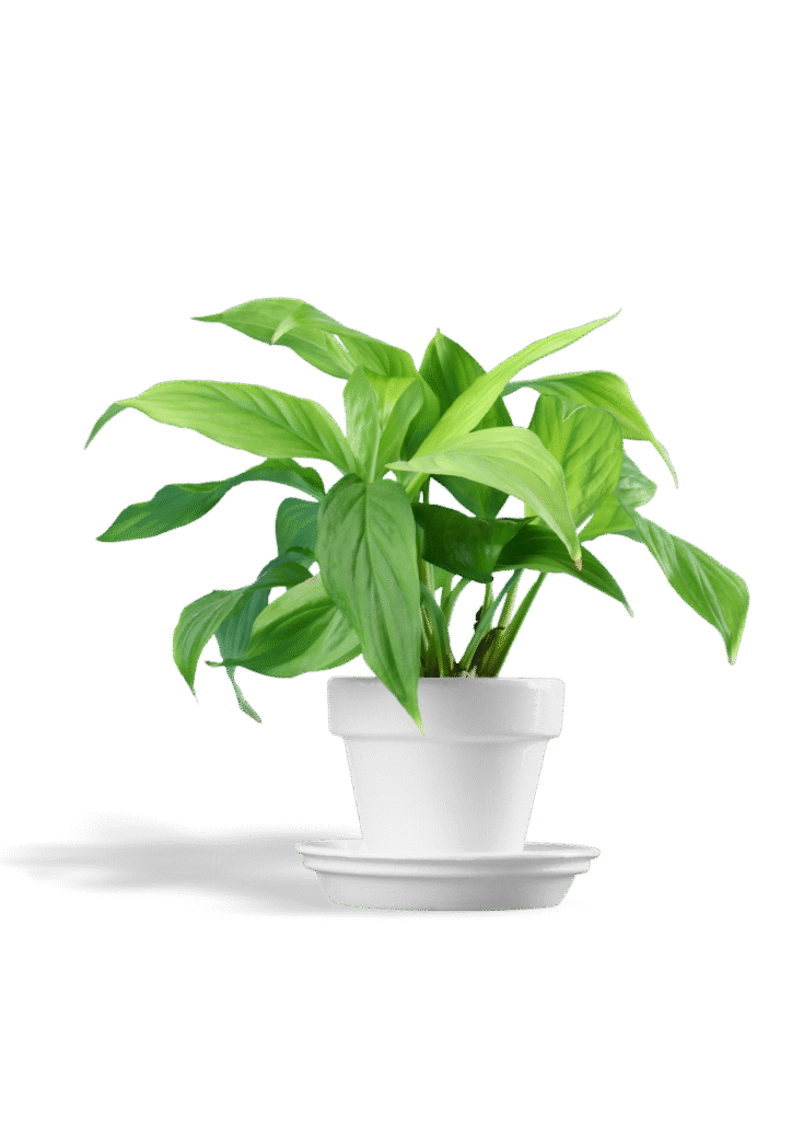 20250921_102748_0000