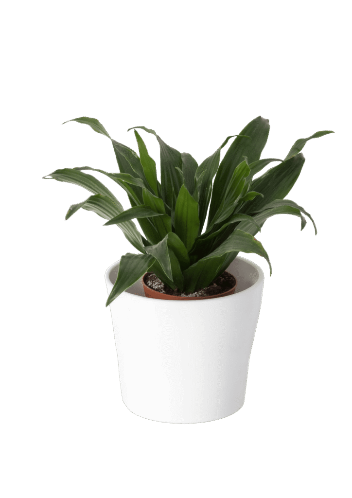 20250921_102748_0001